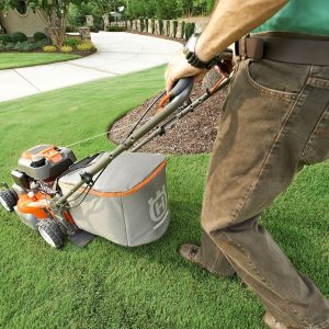 Home and Gardening